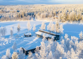 Villa Wikkelä